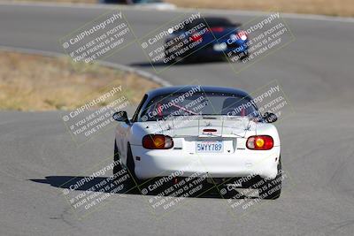 media/Nov-19-2023-Extreme Speed (Sun) [[bd0eec5490]]/Orange/Back Shots/